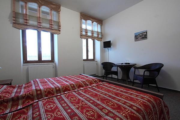 Hotel Satyam Brno Buitenkant foto